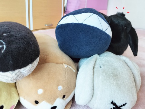 666813D2-93E5-4420-96D9-8F2BCC73A4D6