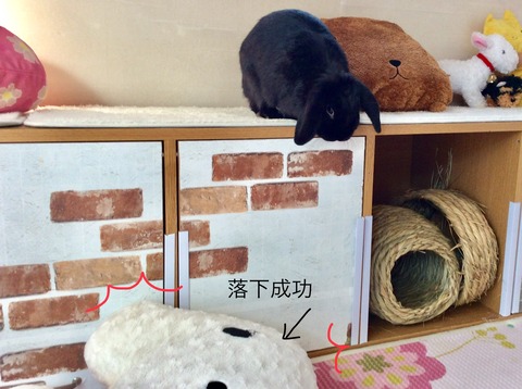 D1DACFC5-9C68-45C8-8056-0DCA9D4D8F35