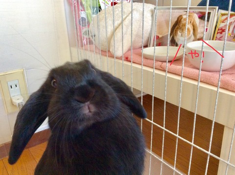 693A8E3A-3459-48BF-81CB-C1EE7ACBAEA9