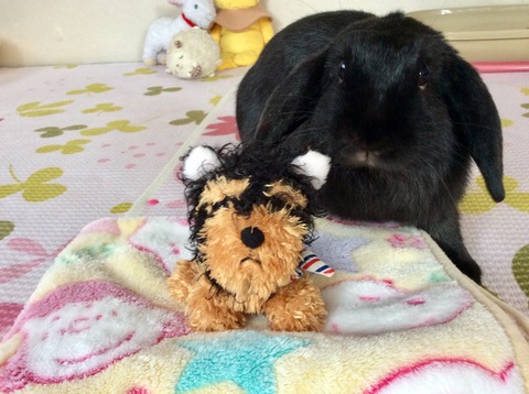 999CD9EF-812B-4BB4-A4CC-BF72F1EA6A61