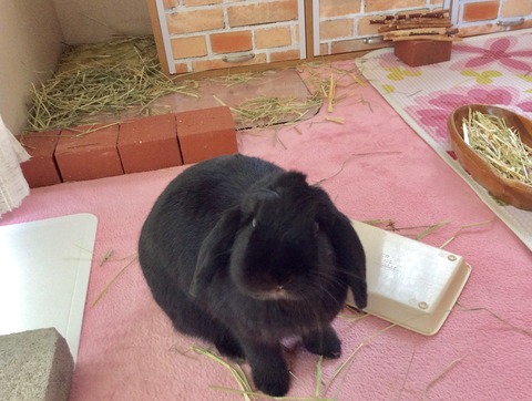 83806F4F-5A67-47D7-B63D-FE0F11ABE683