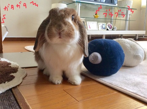 C008D174-1D82-4C54-A24A-DF4C147E1233