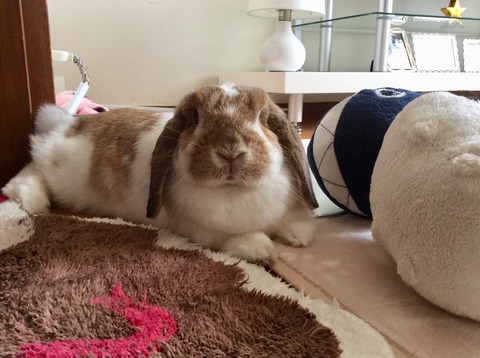 1179F22E-ED0E-416B-9CB2-A6C5B8CAD20D