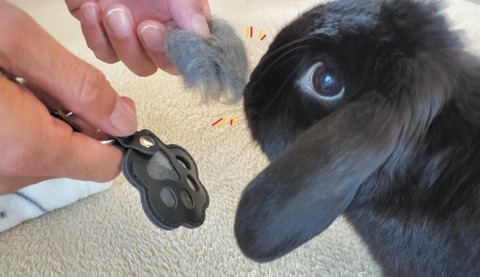 26A43CA1-3506-4652-8E85-5DE06B359514