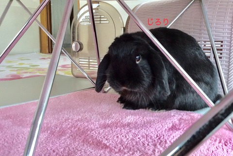 B34C25A0-05E2-4D94-BDFC-D1A60E1DD2E7