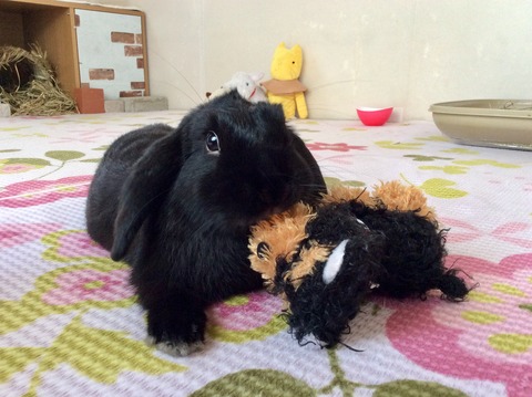 6967D486-6586-48F8-932A-2038BA27B11D