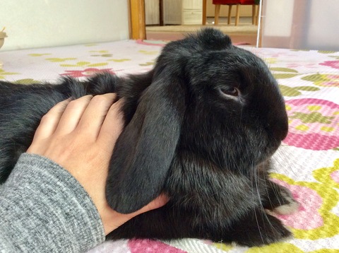 69265539-0489-45E7-826D-7A3CBB19E1E1