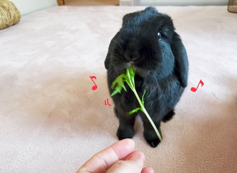 E5108611-65C1-48DE-8E8E-250A41042D79