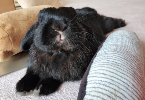 B794CBD1-7324-459C-98B9-D9D0371DDFAD