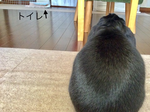 EC97B3FD-32FF-4BEA-B39B-E930FB850398