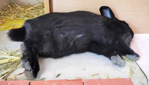 1E30C721-9A35-4FCB-A277-73940AEF482B