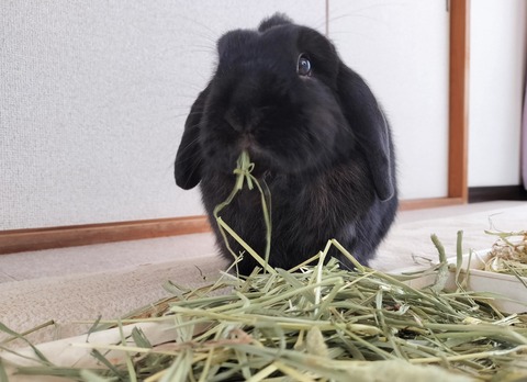 0E3CF1B0-26E6-4588-8B37-873169D5E06E