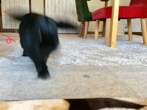 15832770-BE30-4596-A3E4-1F4CFFAE097B