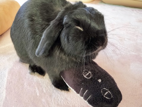 16FD9657-CEC4-4D3C-A8D1-6FF37FB56718