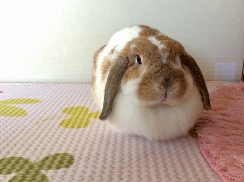 9A738995-6F98-4F46-B141-145BD3DD0F7E