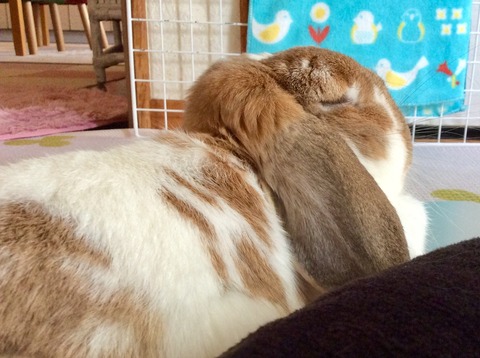 9FB94299-0EC8-4947-9DA0-A464BC7DF797