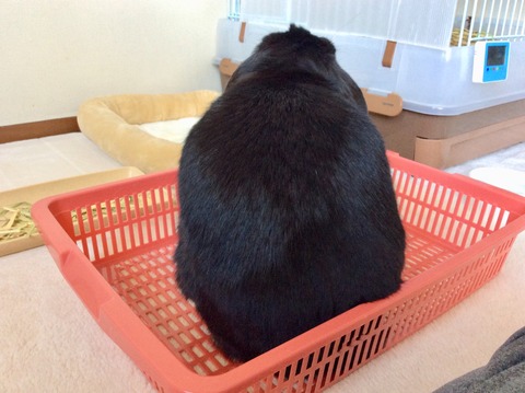 13AB8081-7D29-4A08-B86D-798495AE000E