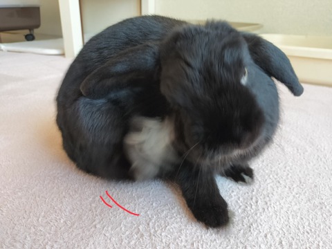 7116A6B5-AD82-4DAD-946A-925890446839