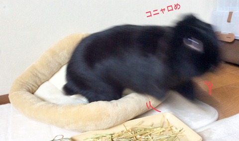 460601DC-4617-49D5-9C9E-C2A4F99808B4