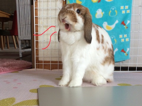 DEBE5CE3-1B52-4CF6-84AC-71D121ED28D7