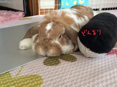 15C4D5D2-7737-43AF-B955-FFFB7A4E0E84