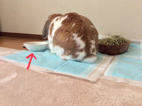 3381FCB3-47A7-4221-8ECF-B66D81598064