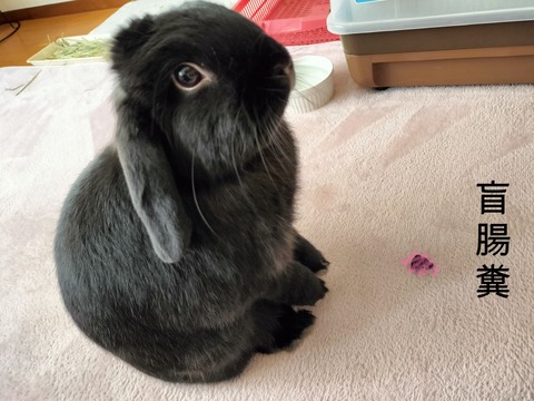 BCA88F79-9814-46E7-A66B-61DD993509CC