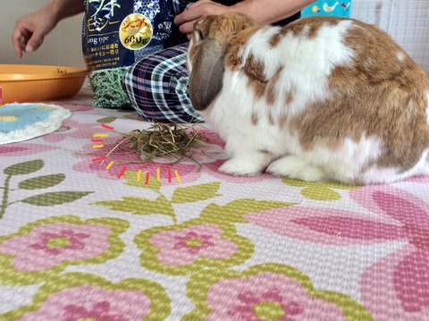 A368B46F-9CC3-405F-93CC-5301EDB267D2