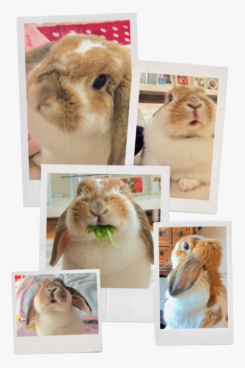 3F6AB66B-0687-4C6C-9E6D-7B130F1CC5BC