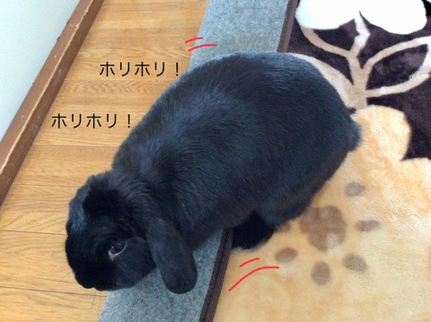 7BB4B06F-577E-4CF5-BD2D-8491D19A5B54