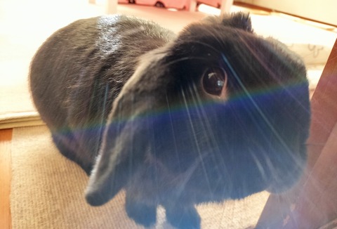 4074F3B6-998F-4AB4-A3FA-A1B67347D71A