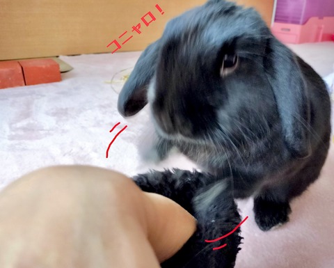 9229E5BC-5FF5-4F7E-9DB4-072E664A9DD2