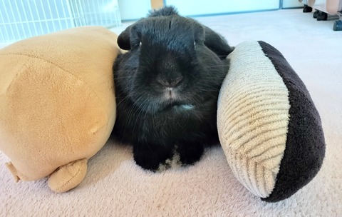 2DD5C18C-BDC3-4B7D-A69C-D7DF7075AA15