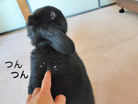 A751CEBA-7CEB-4DFB-8EEB-986B7386E231