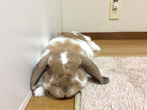 A5278FAC-7F2E-4E9F-B030-BE2C50330E8C