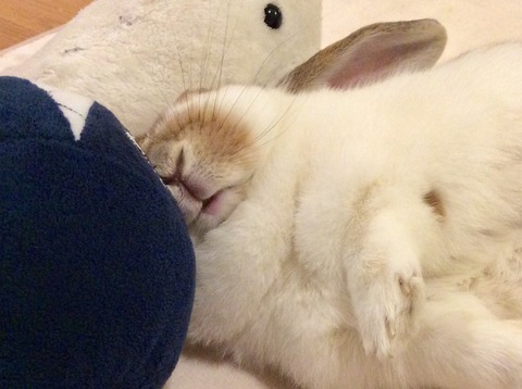 4C595E58-7611-47A6-8C24-C5A1B75FBAE2