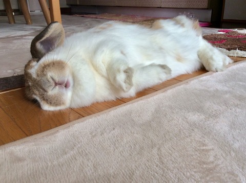 BA3A5BF5-88EF-41EF-8513-B7DBA51218CF