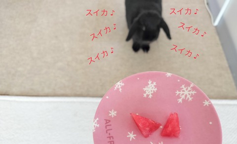 97047283-AD10-4AF5-A027-92322CC0E7EA