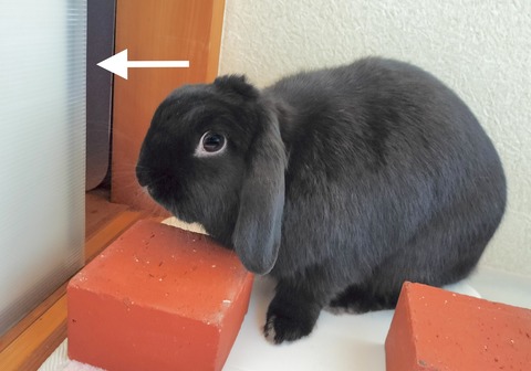 36E18489-0A26-45EA-A9A9-599BFD1813F2