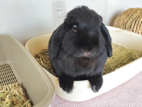 E67FF364-FED0-43EF-A87C-96BF25B1320E