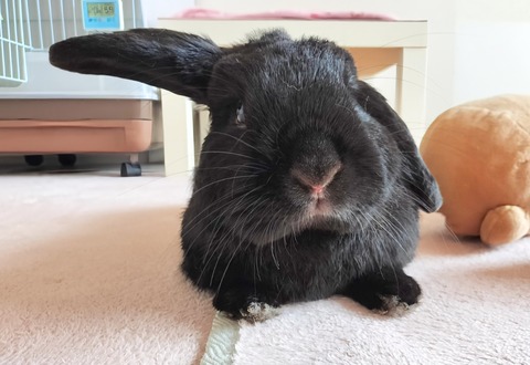 7B2972E2-FA5C-4FED-898B-A877A9D383B1