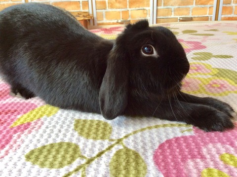 C578BA2A-8728-483F-ADCB-266211C5AC70