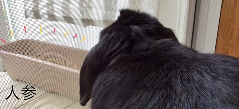 3046C814-4DCA-4212-98EF-BFFA0D06E106