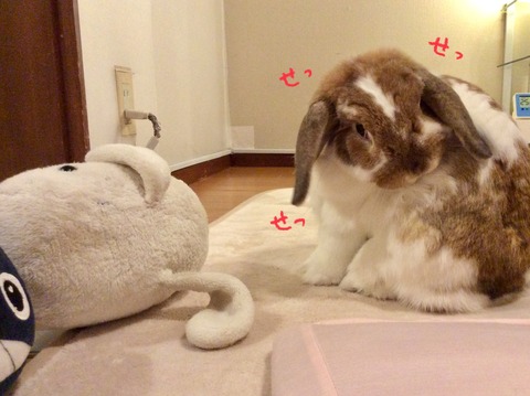 F1775784-4085-4CB3-B4CC-AB2BE28C9DA6