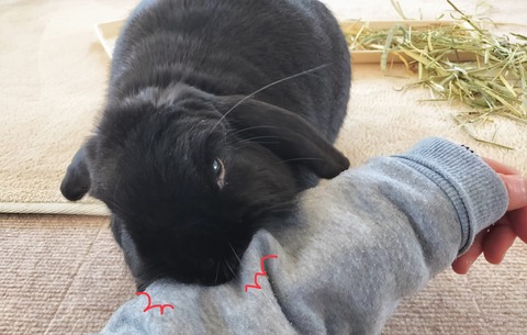 D4E98266-7B8B-42C9-911B-6D35DE8D3942