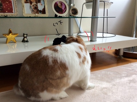 56CB9363-BE40-4CF9-A8DB-C907F7CB019E