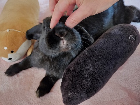 FC0436E6-4407-4F0B-99A2-109FFD27CDBB