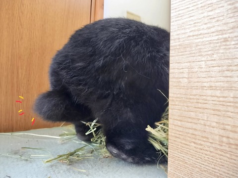 95C21CFE-203C-48E7-9F80-02C1DD58E941