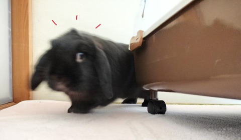 730AEE6D-EFE4-43B7-96C4-59FE223742F1