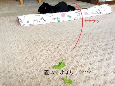 B28C6E52-BE3B-4D51-88C9-603405A67171